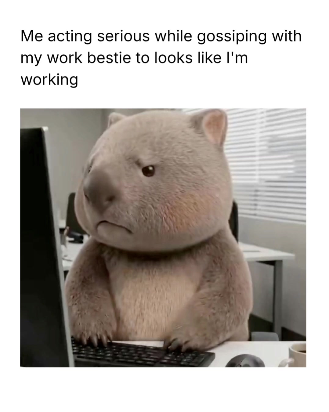 @Memezar