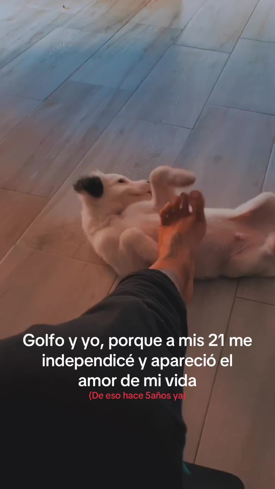 @marineta_cb
