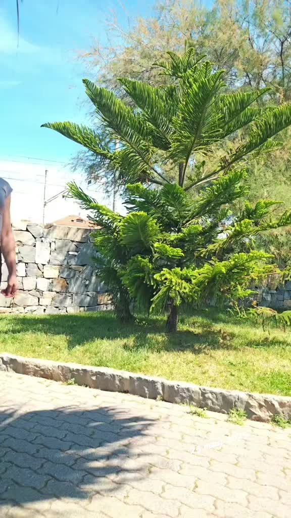 @FRANCESKA🦅