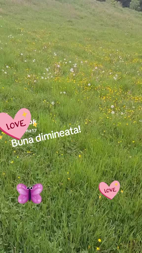 @Paula