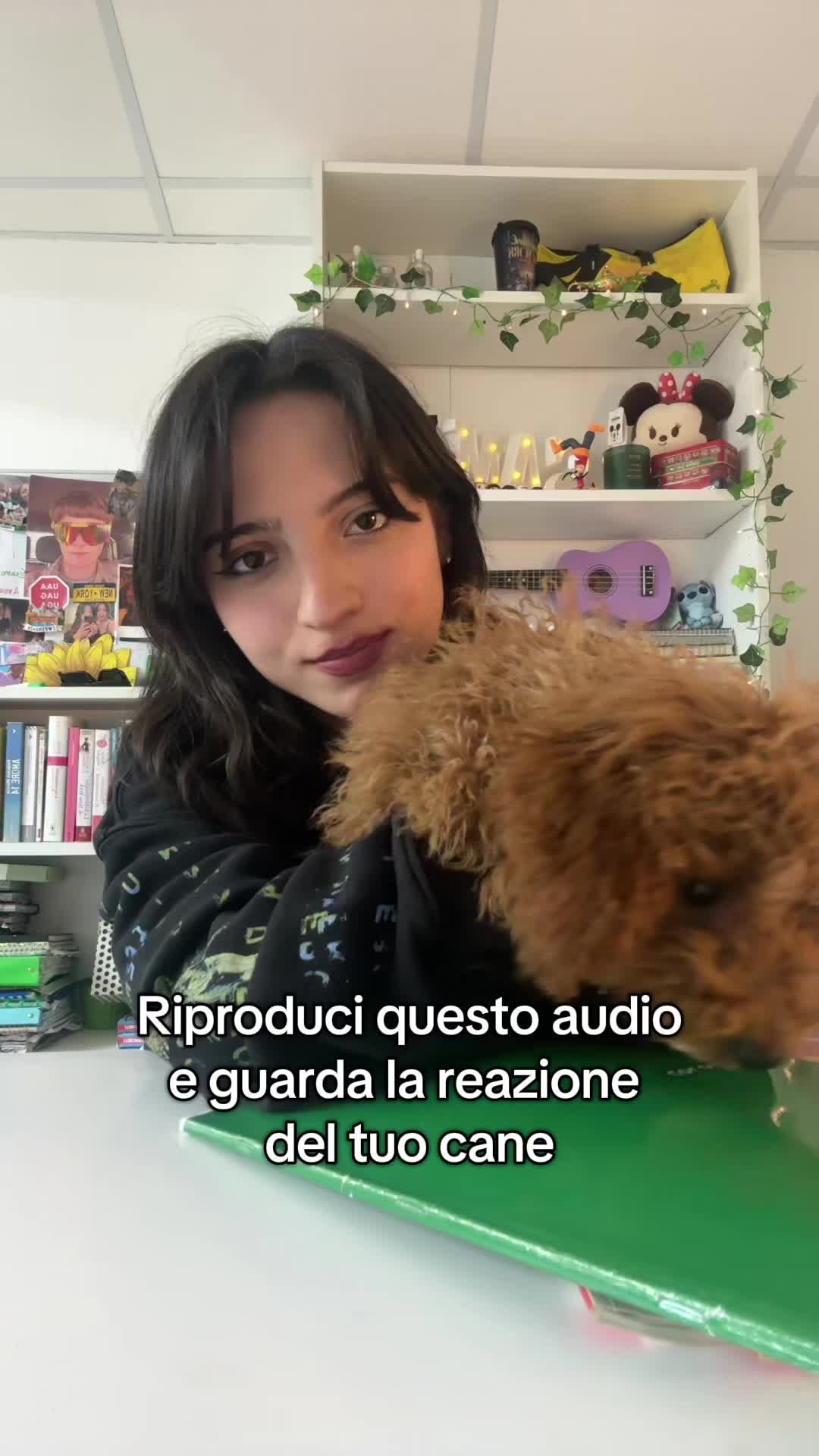 @Sammmm