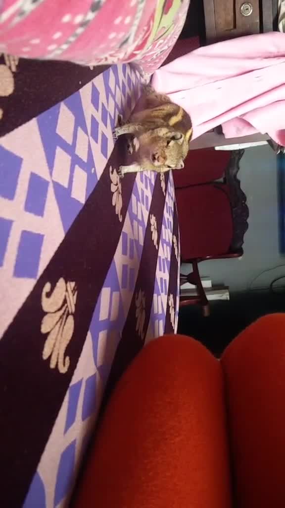 @ramya129