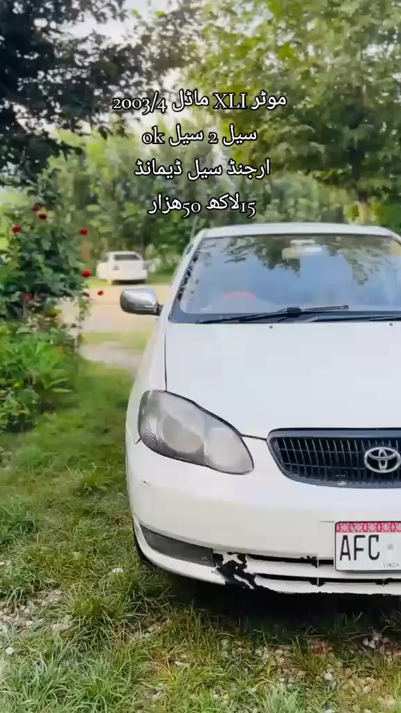 @ncpcarlover1