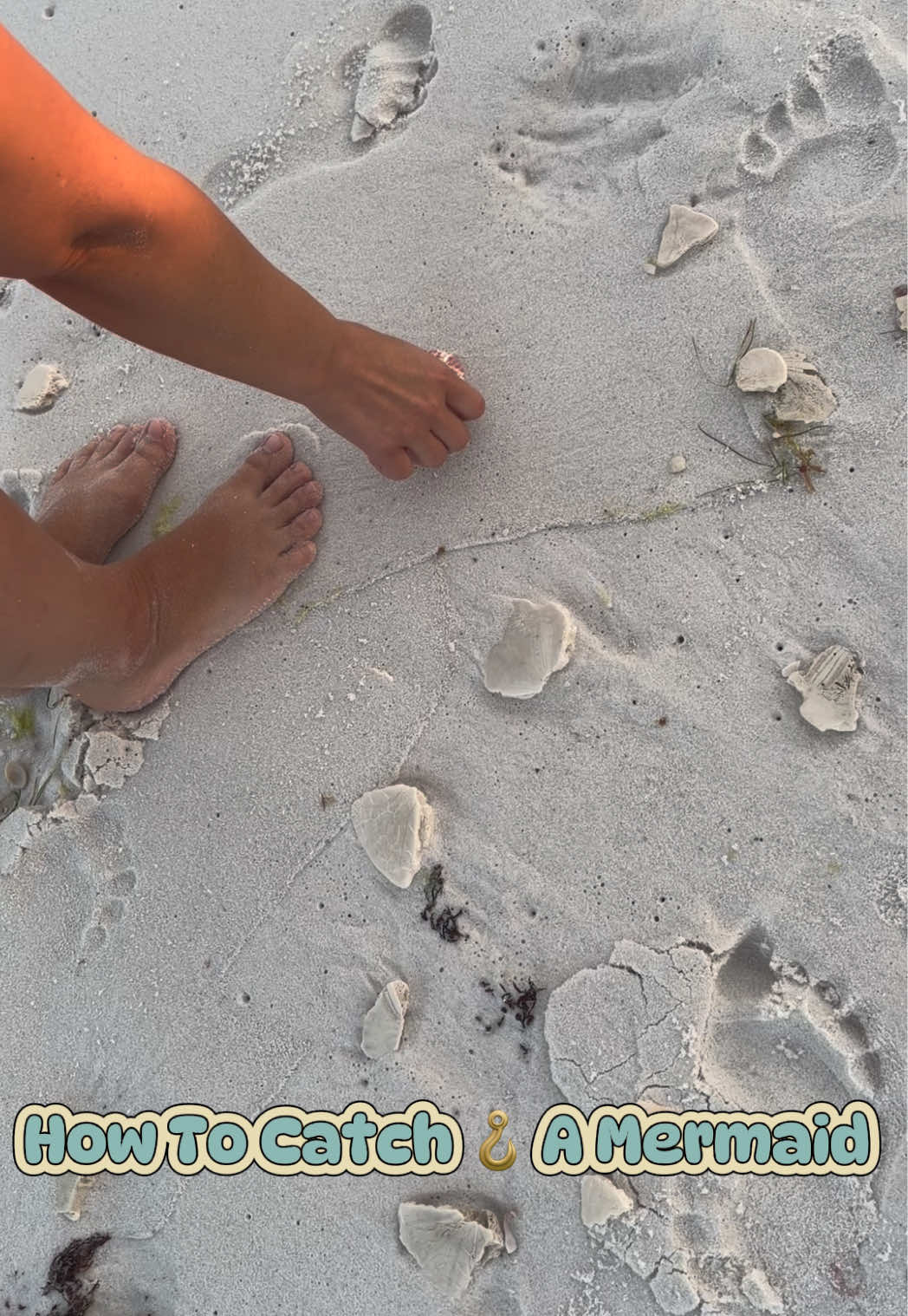 @Gulf Coast Mermaid 🧜&zwj;♀️