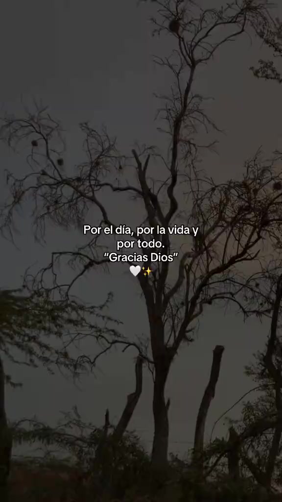 @🤍&spades;️ Fredy lpz &clubs;️🖤