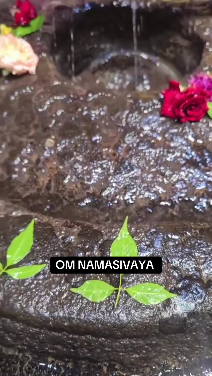 @๐๏ธ Om Namasivaya ๐๏ธ