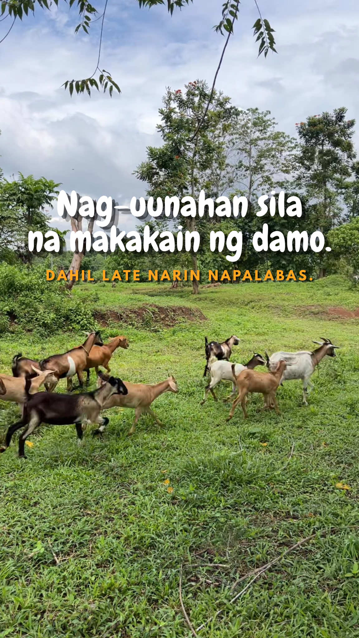 @indaypoypoy