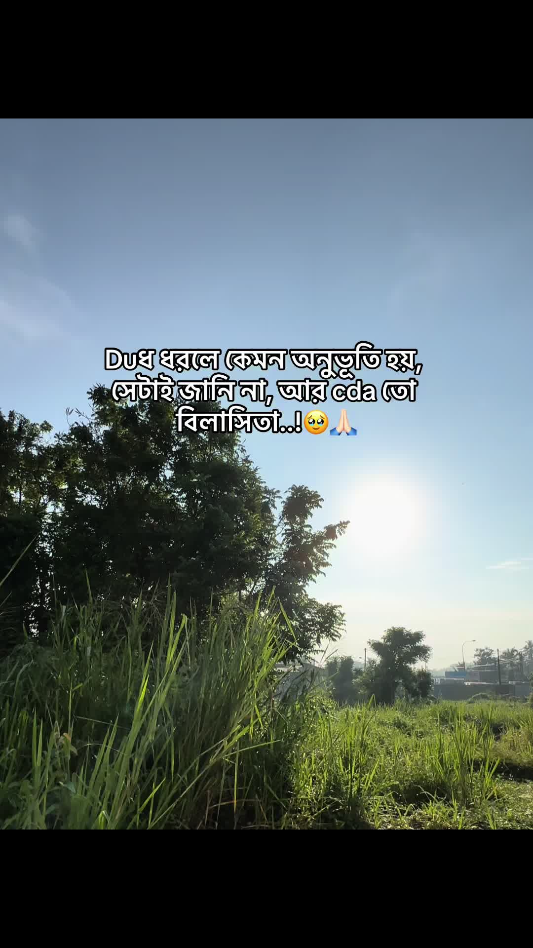 @đ° đĻ đ đ đ đ đ°'âĄ