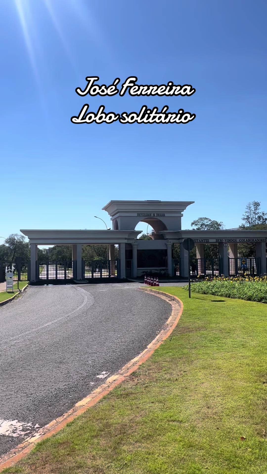 @joseferreiraferreira8