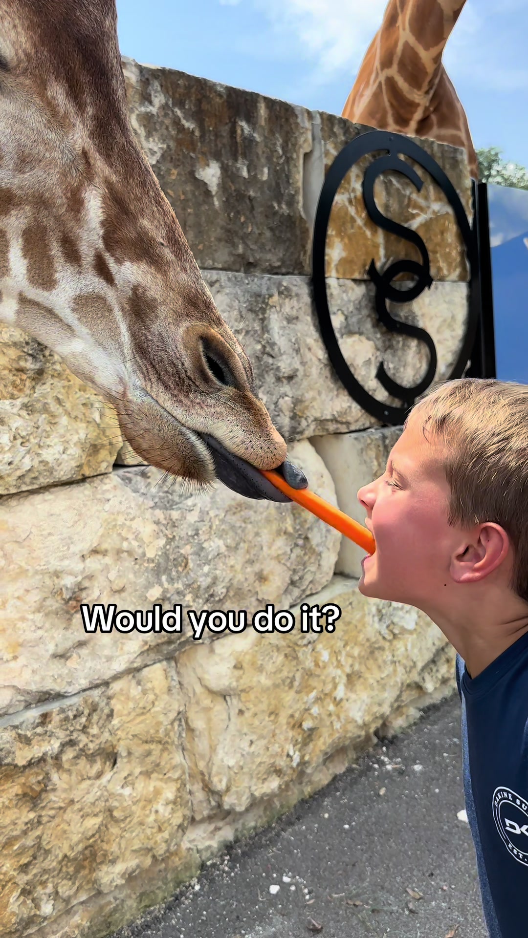 @southlandsafari