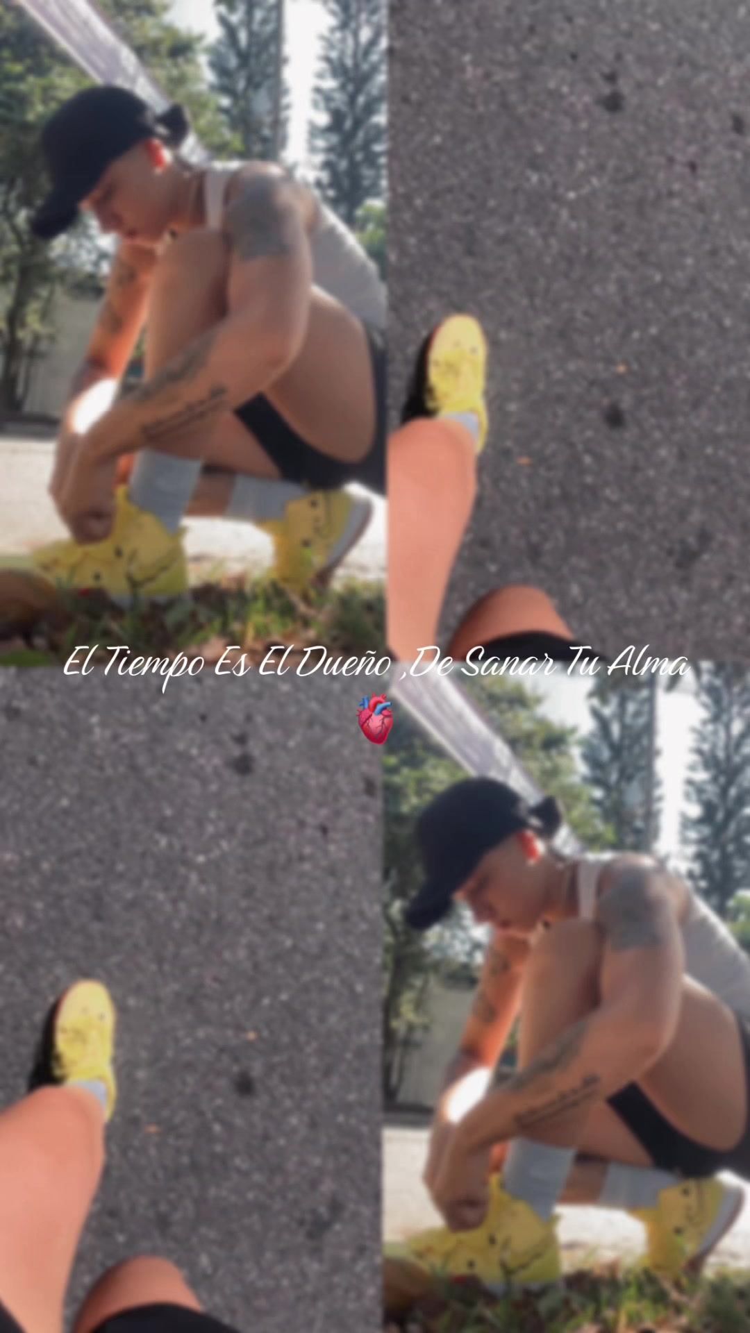 @luisafernandac202002