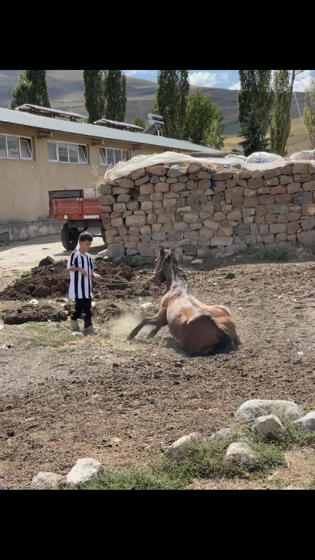 @EYÜPCAN KAYA_25