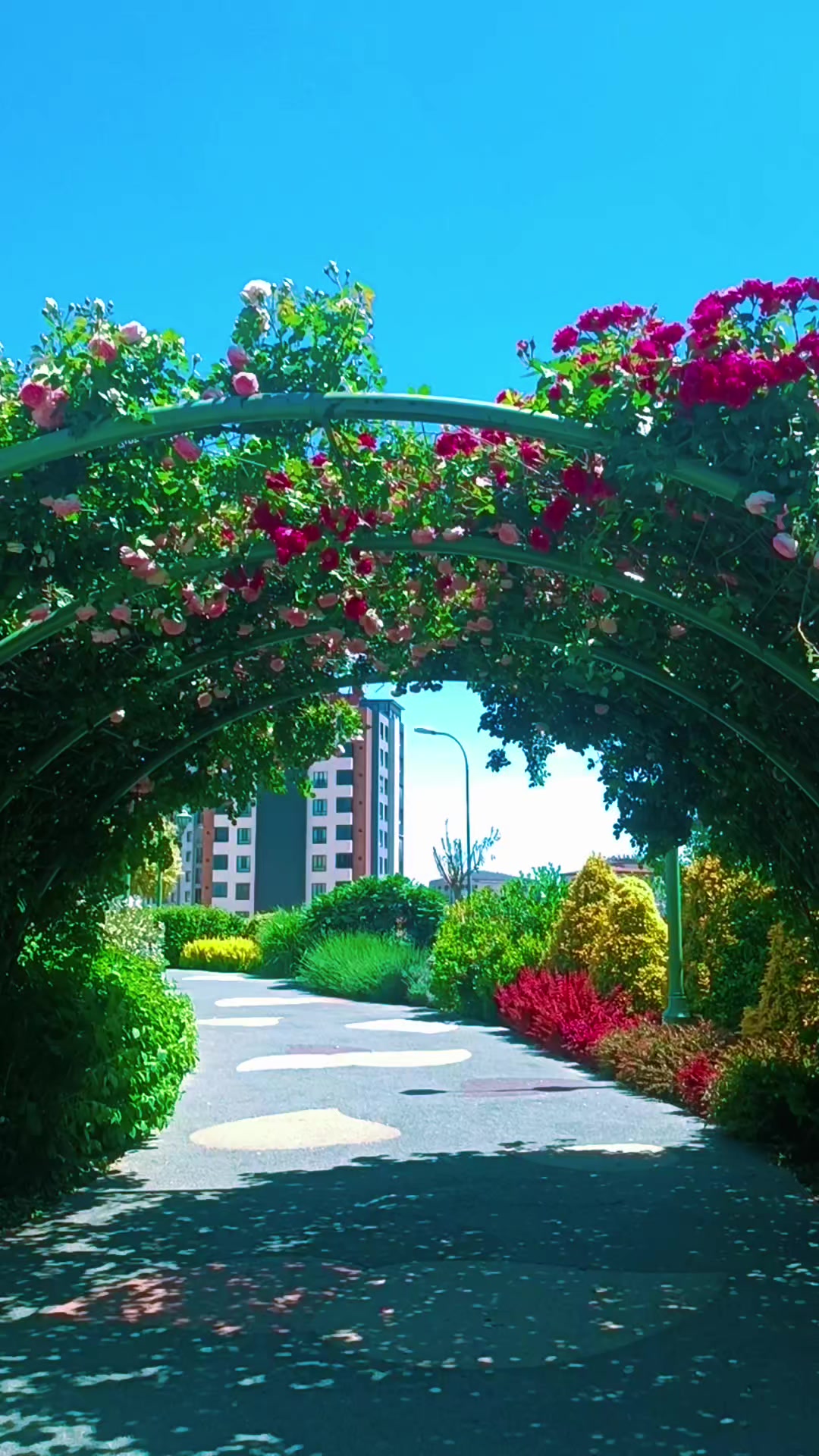 @🥀🥀بنت دمشق 🥀🥀