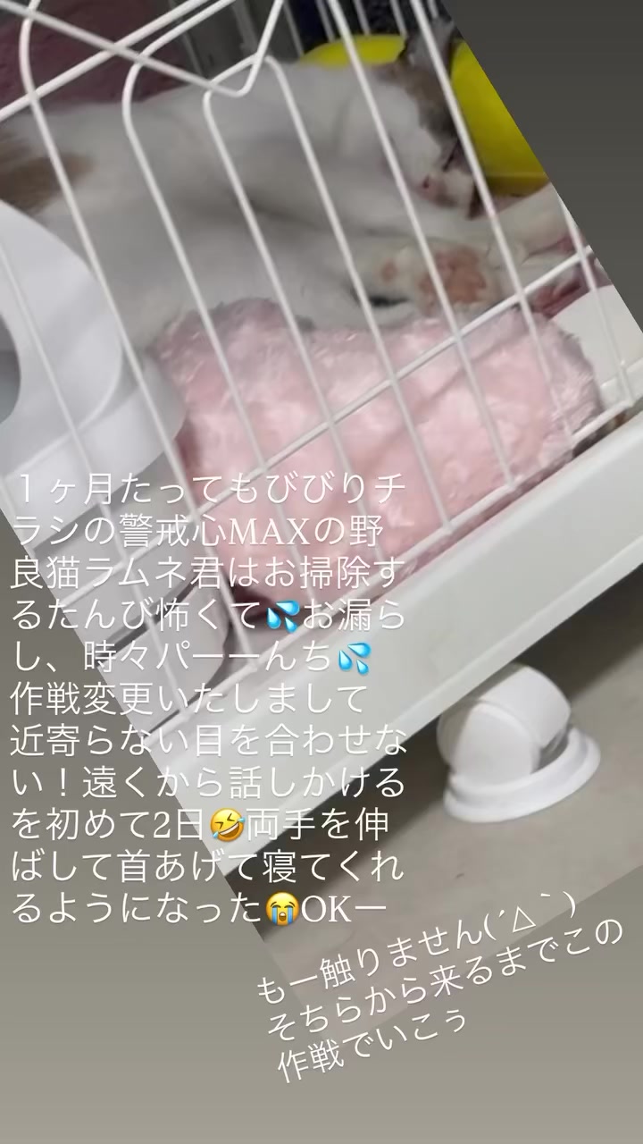@そぉーちゃん🍷🐈soochan