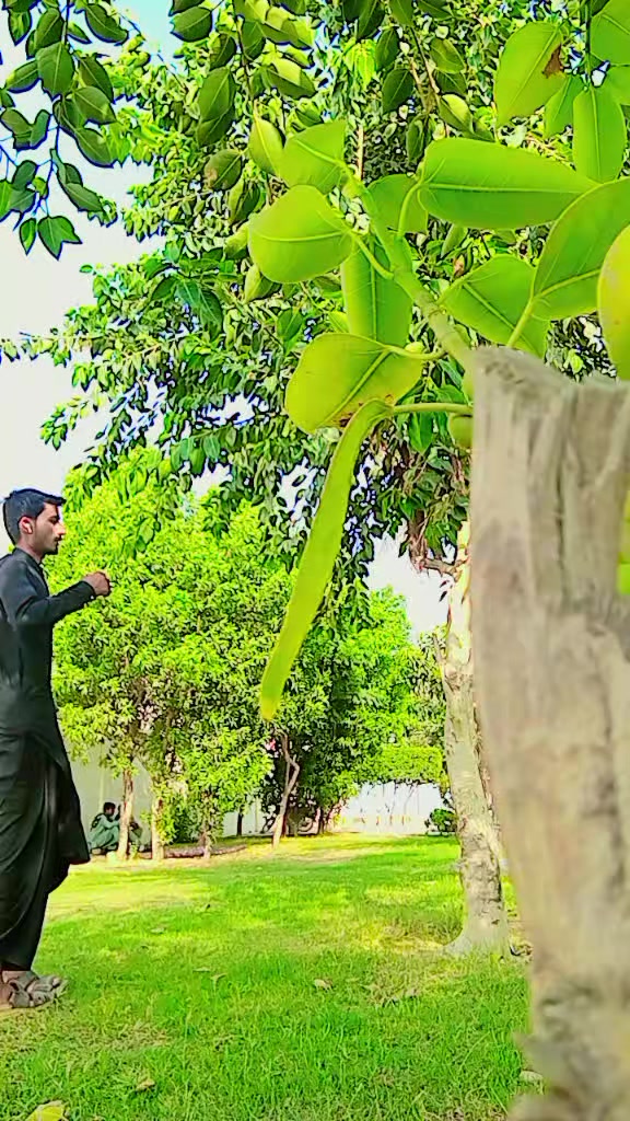 @sanwaljk7