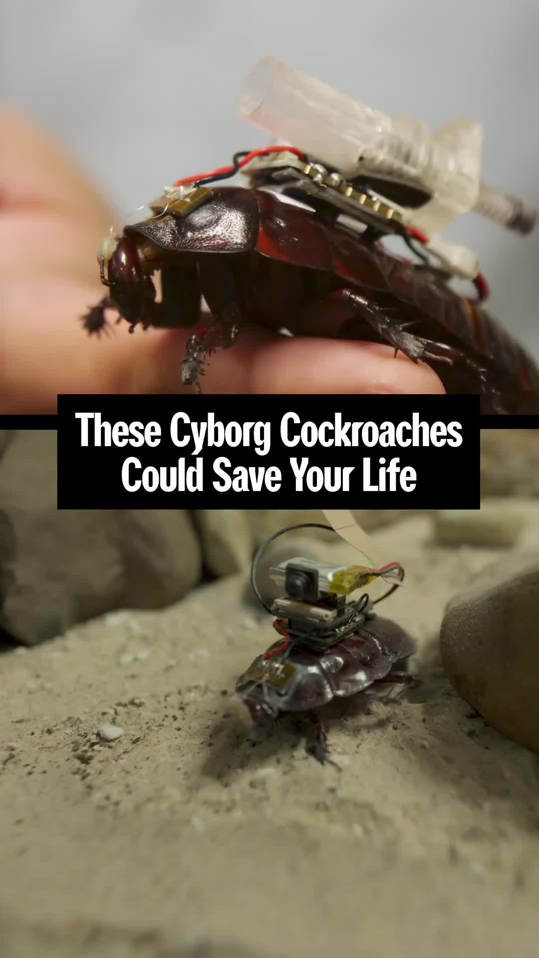 @WIRED.COM