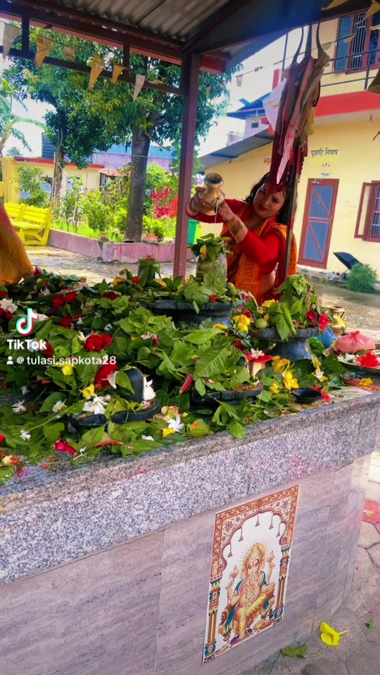 @Tulasi Sapkota
