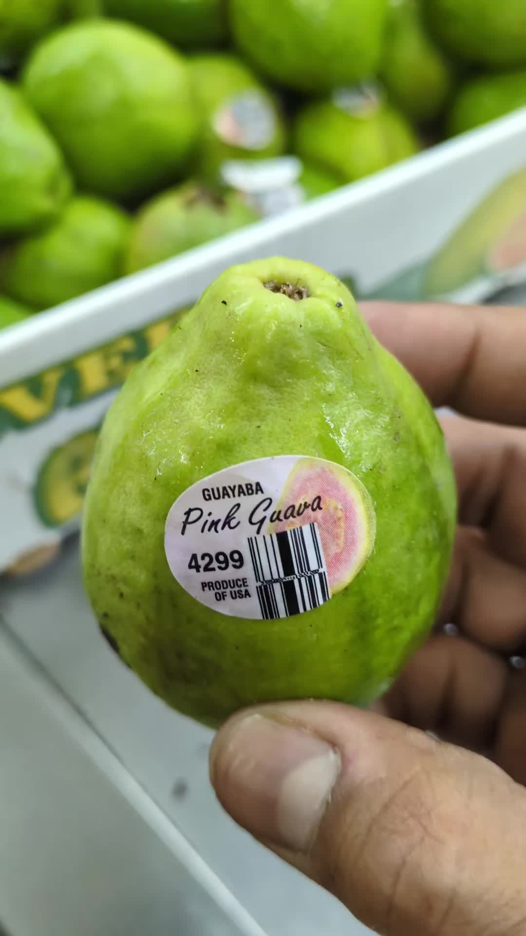 @Ez Indian grocery