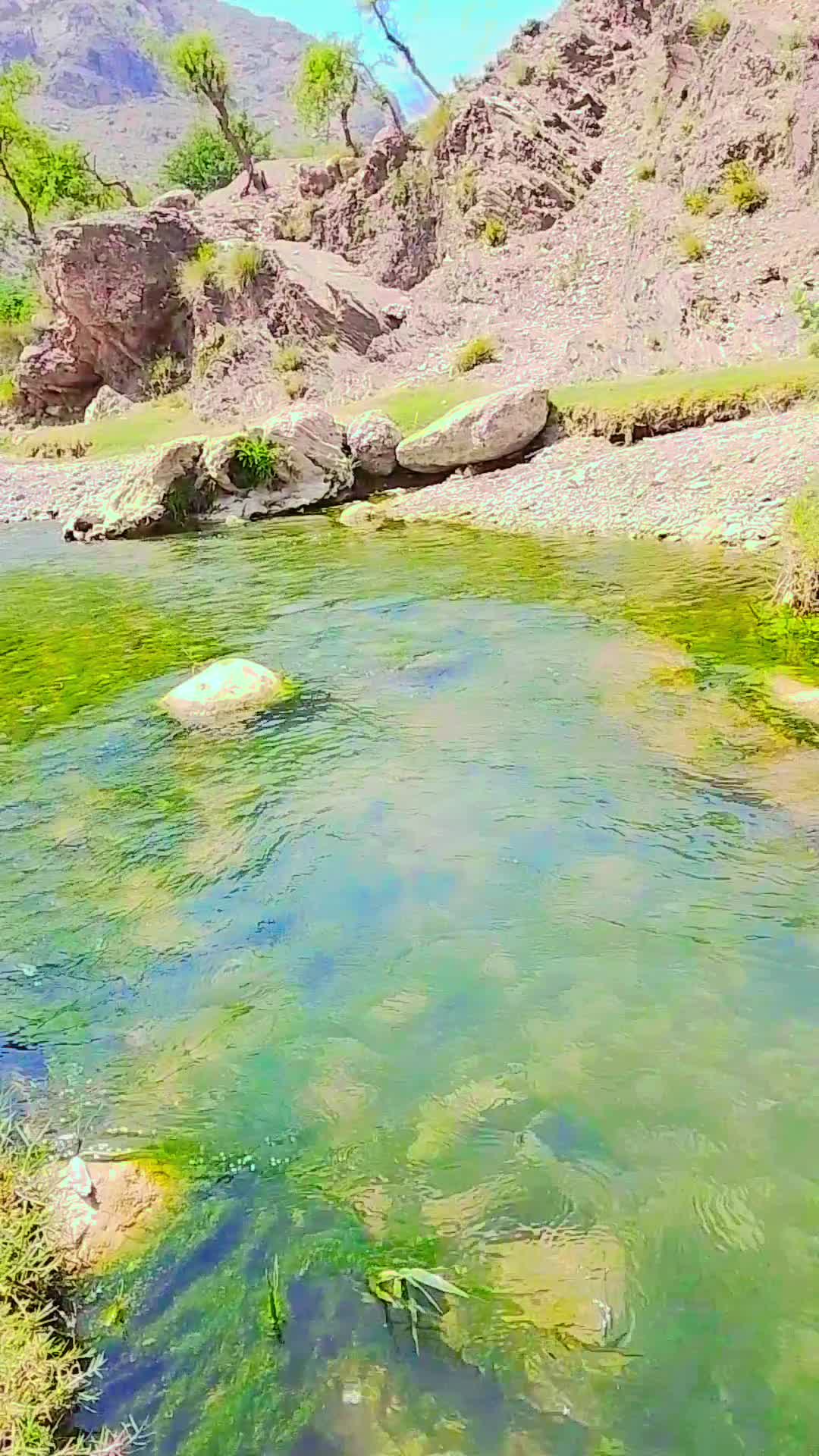 @𝐌𝐀𝐍𝐒𝐎𝐎𝐑🌲🦅𝐀𝐫𝐦𝐚𝐧𝐢