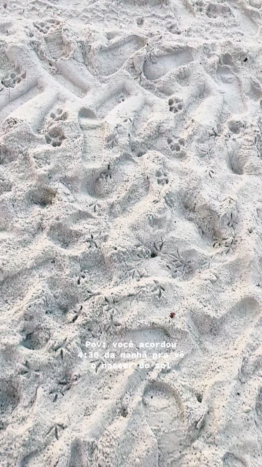@Mirella Araújo 🌸