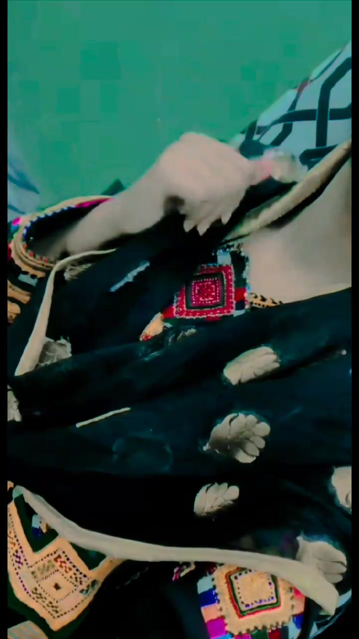 @Hub chauki ki👑 shehzadi 👑