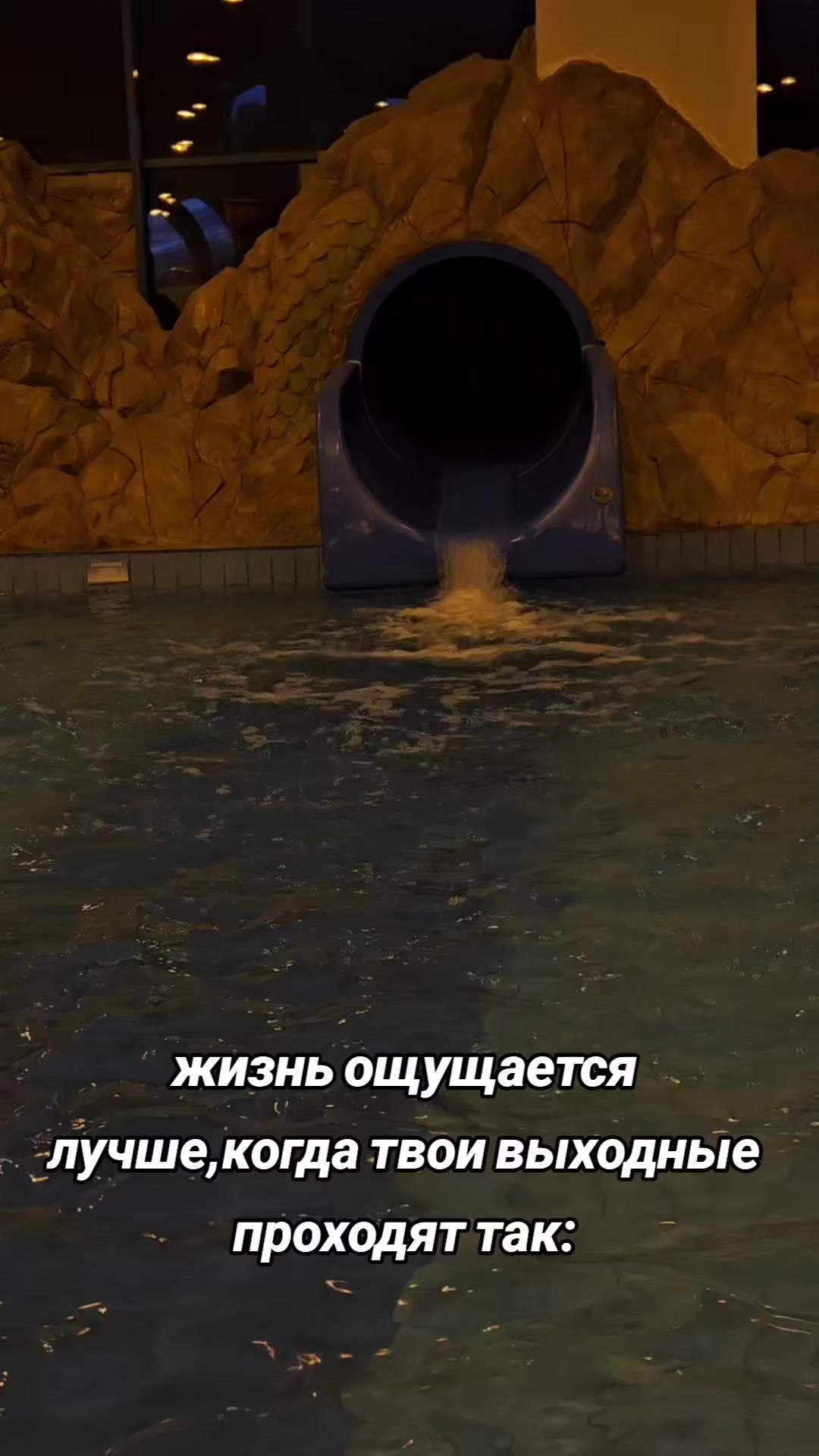 @𝓓🫀