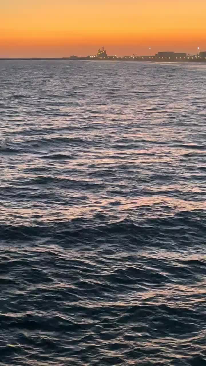 @MalQuerida67387#5