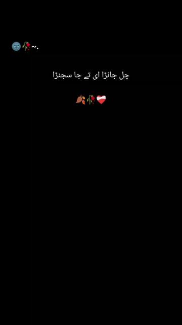 @༆👑𝕽𝖆𝖏𝖆 برانڈ🦁࿐