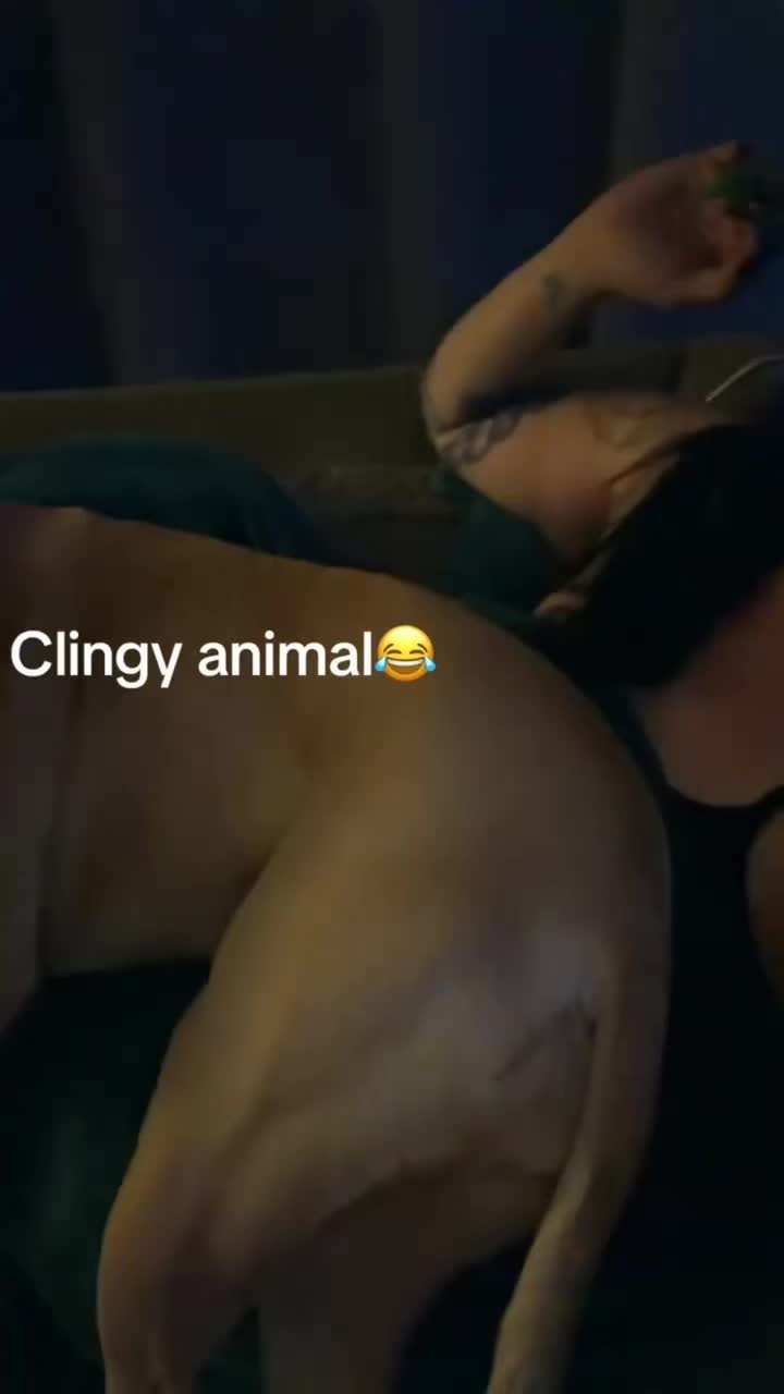 @CaseE™️