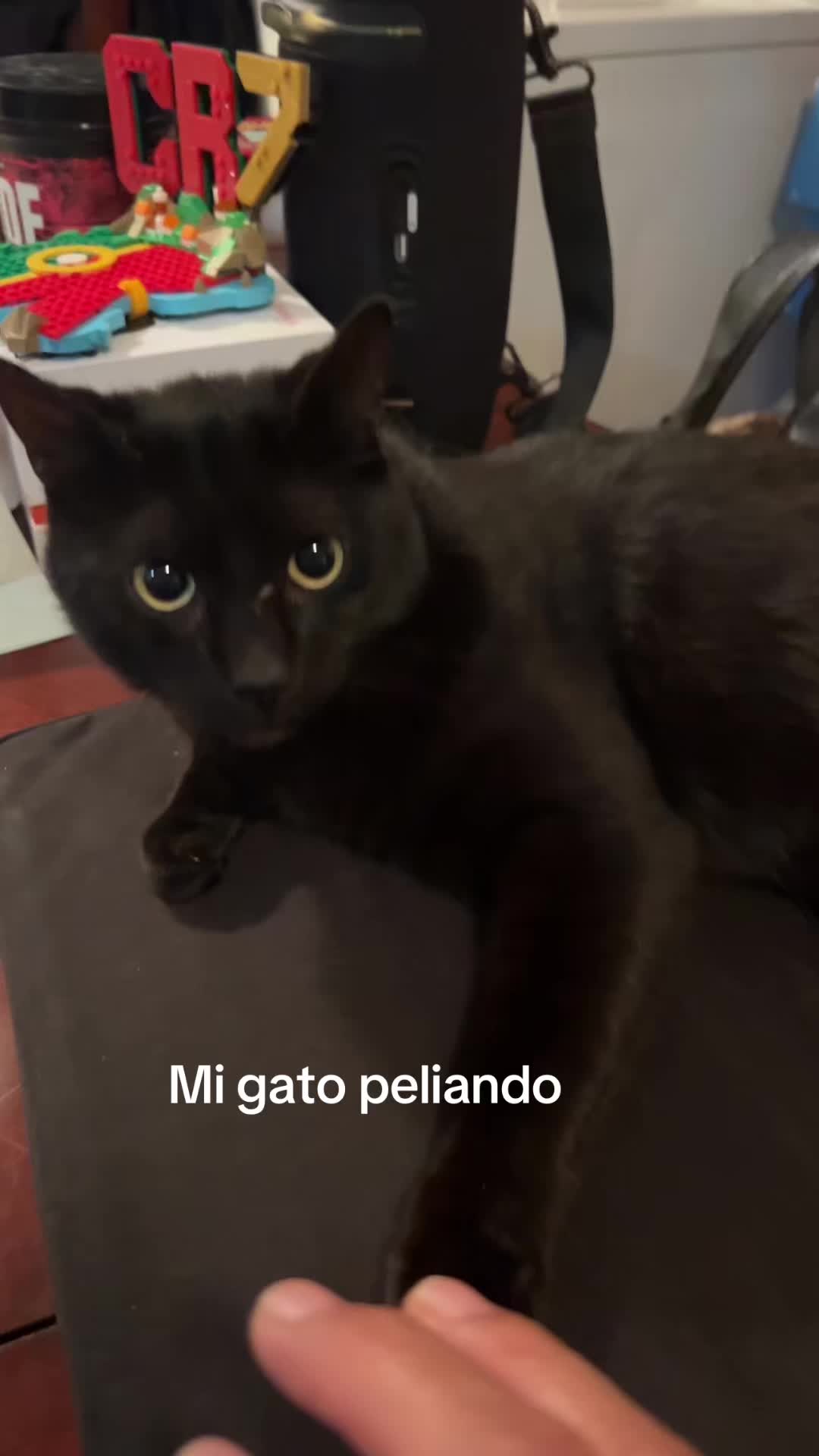 @Estrella 34