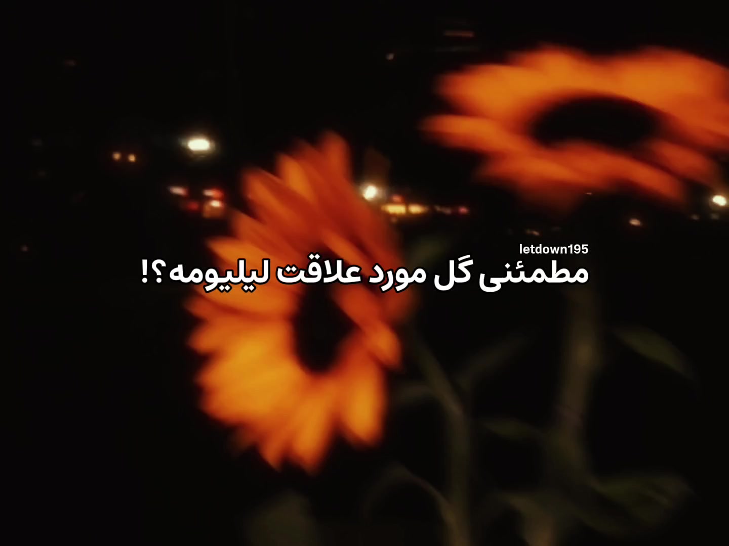 @𝘔𝘪𝘢!