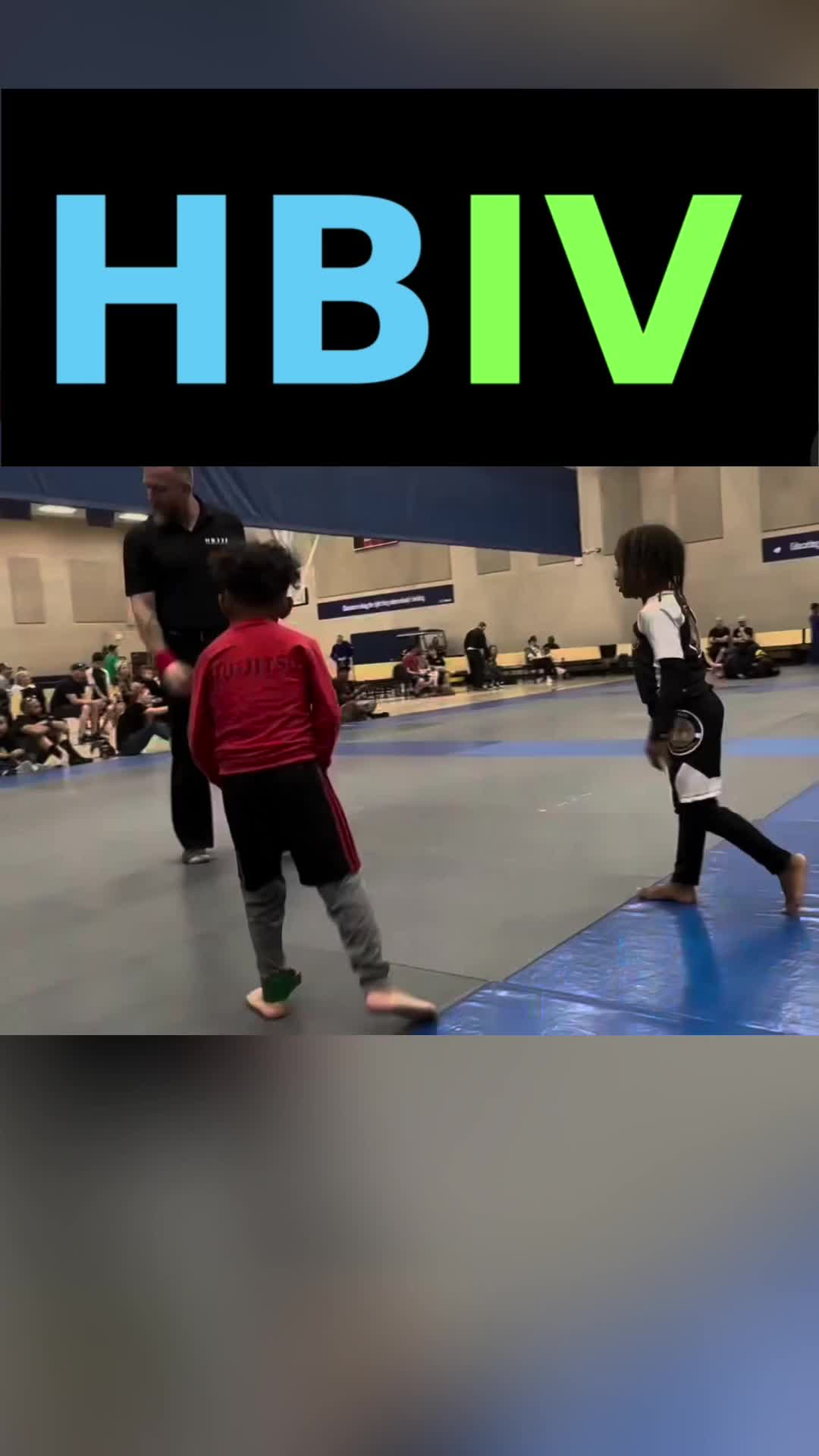 @HBIVthesamurai