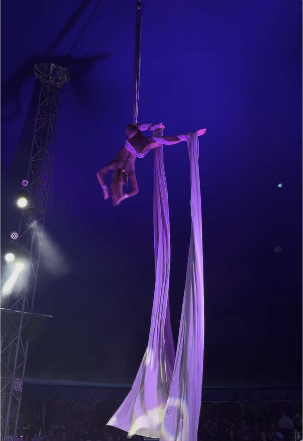 @circus.chloe