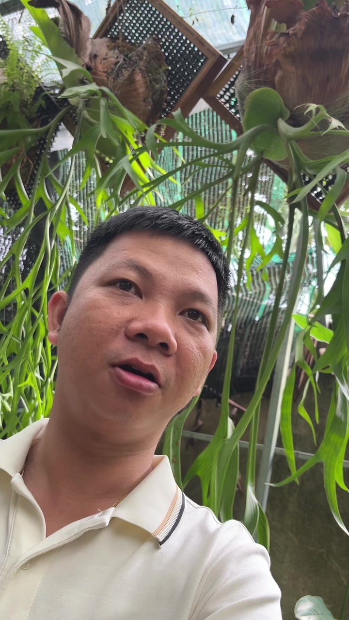 @Huy Kiểng L&aacute;