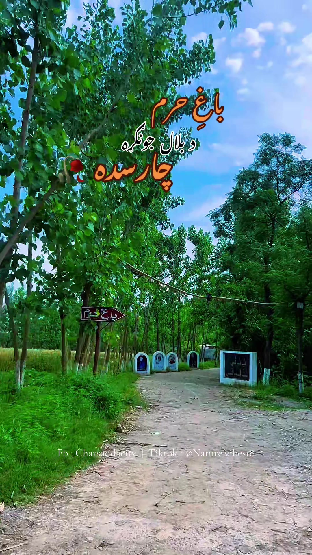 @Nature vibes 🥀💐🌳🌼