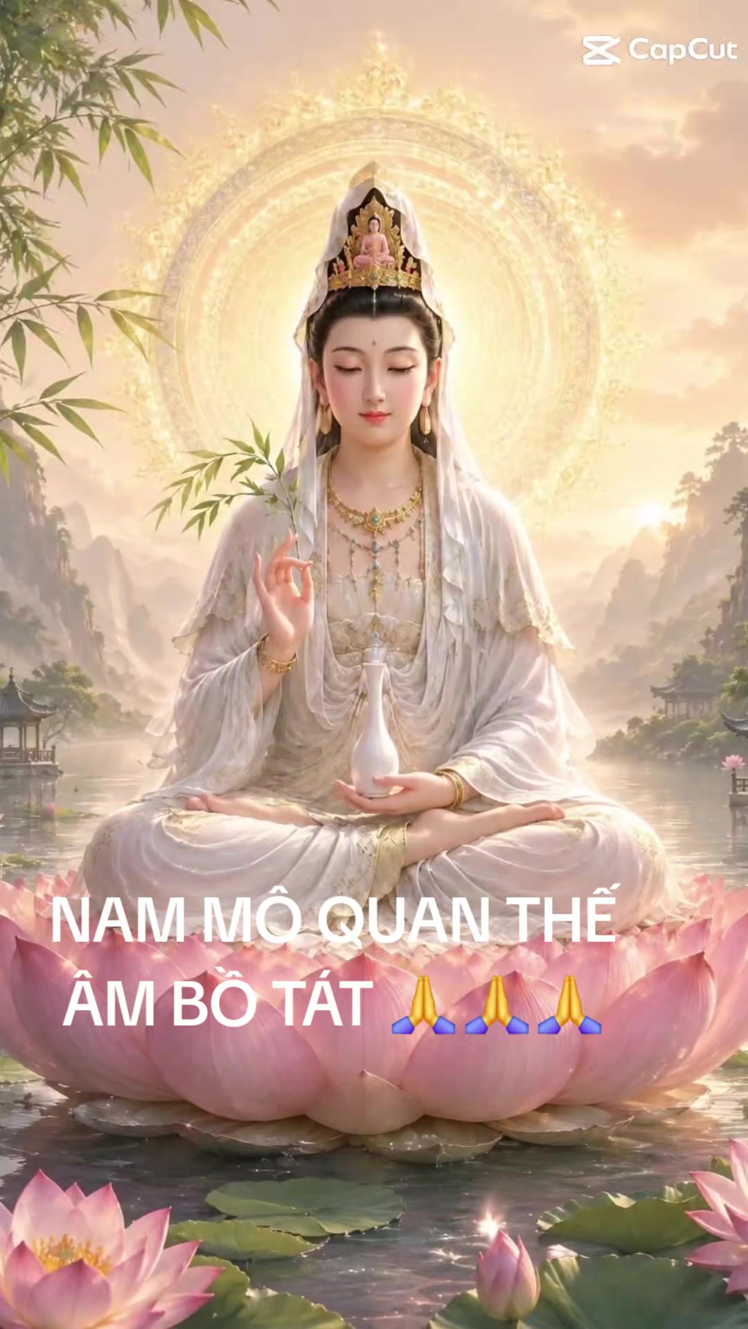 @nguyễn dung