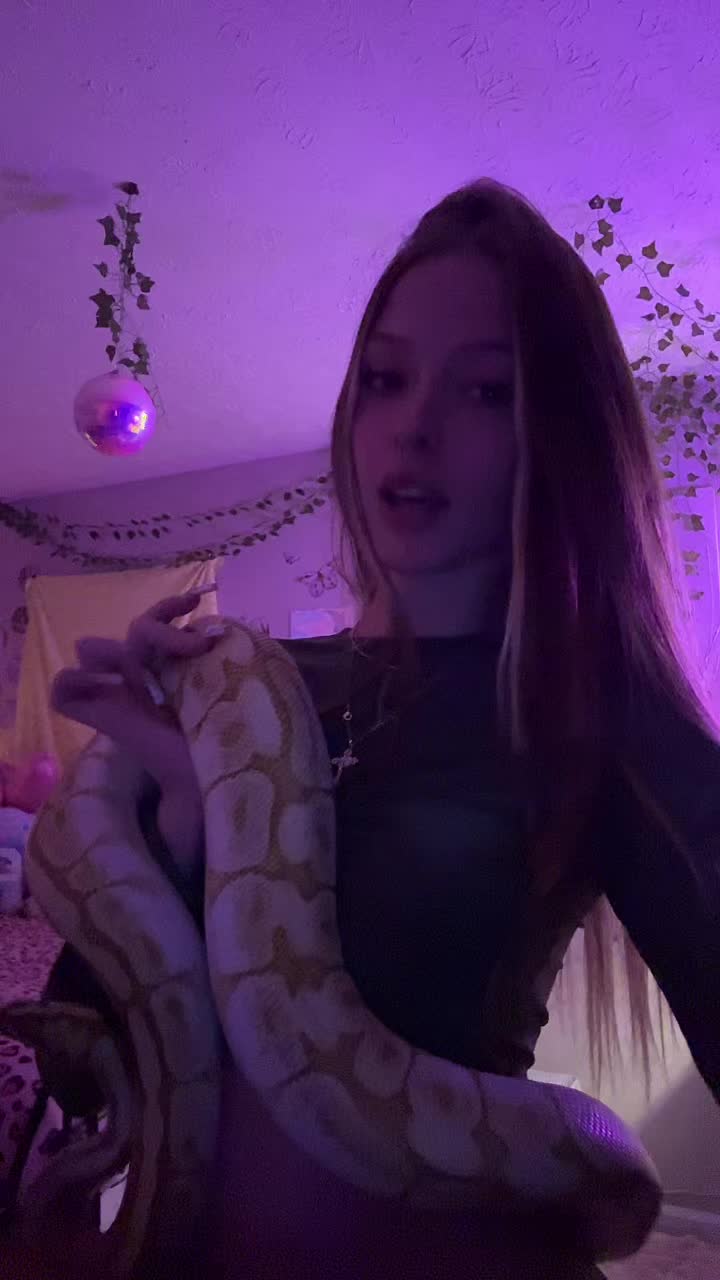 @ari ☆.