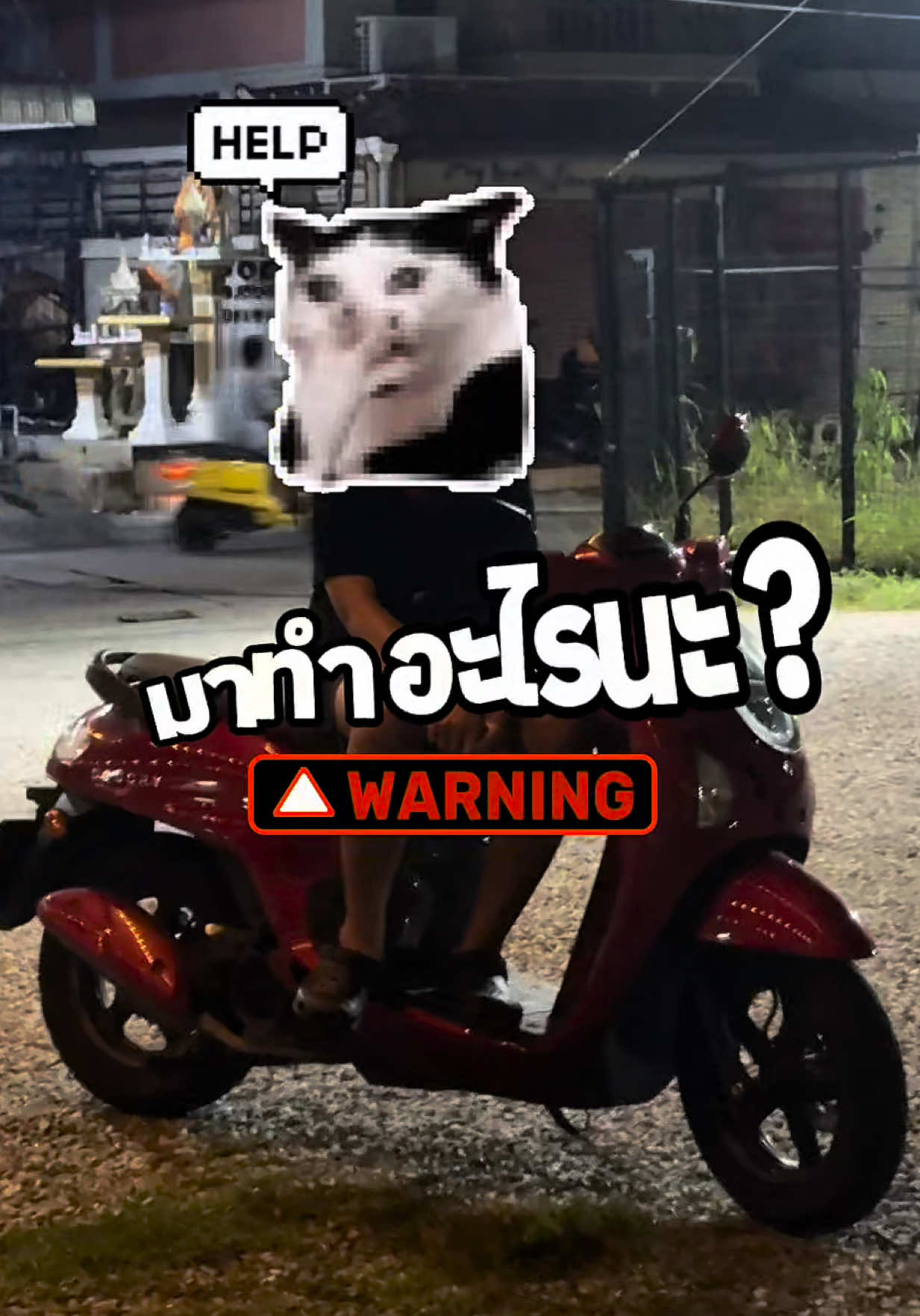 @บอสเบลล์ที่อยู่บางแสน