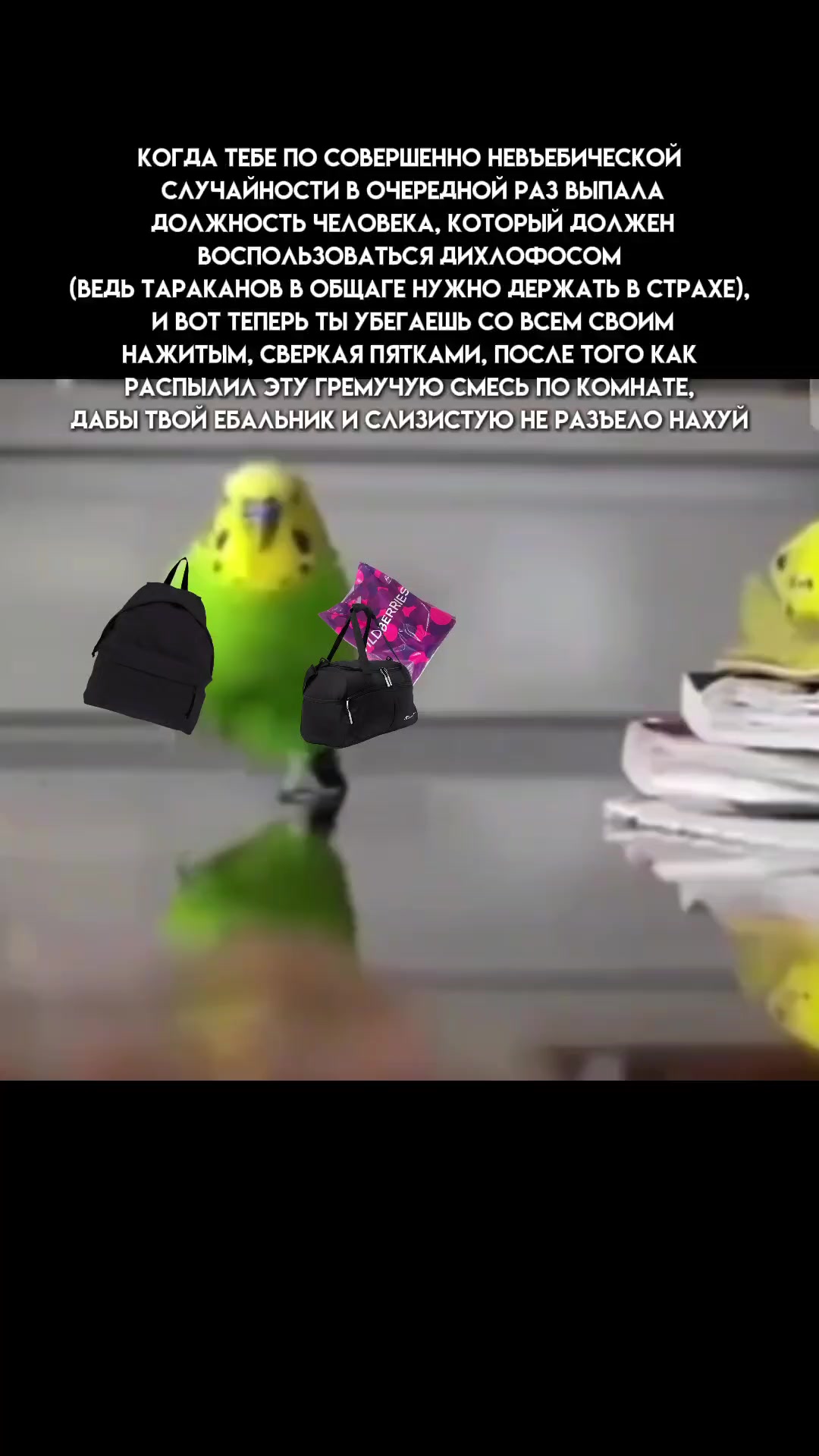 @ëжик