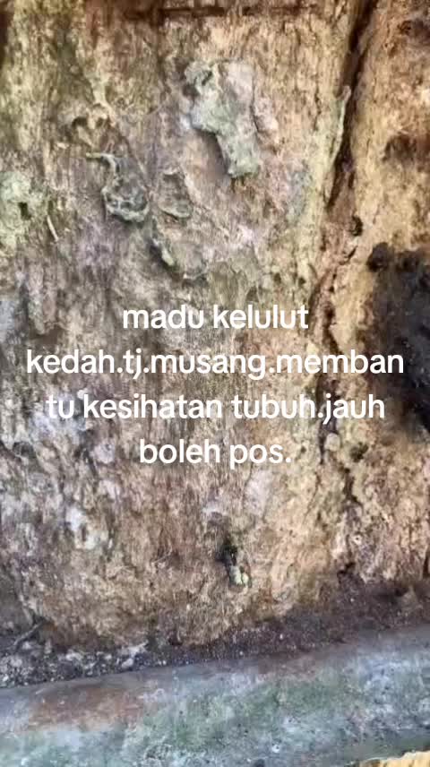 @Wan nasruy