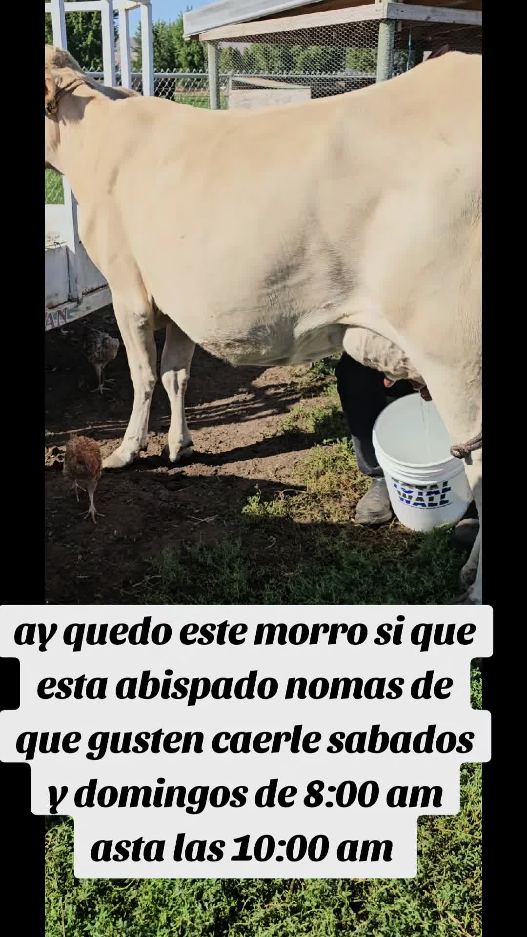@rancho_rangel1