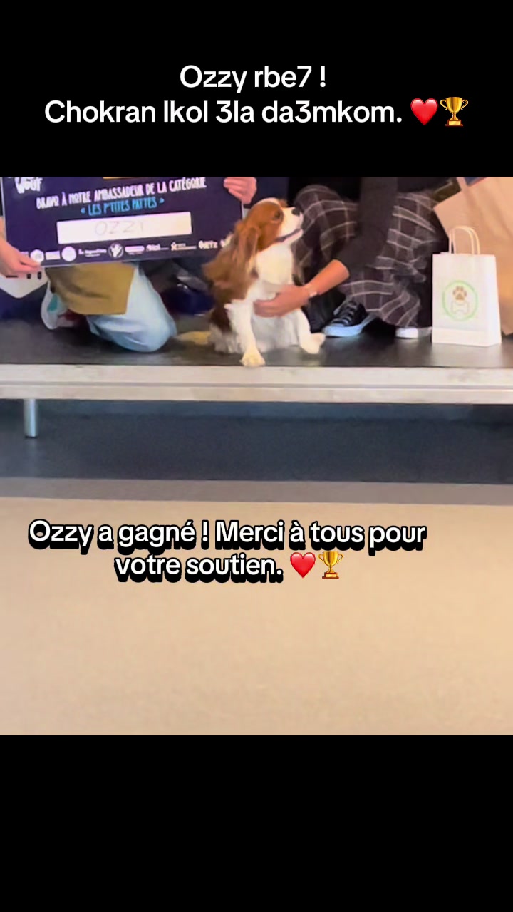@souadt10