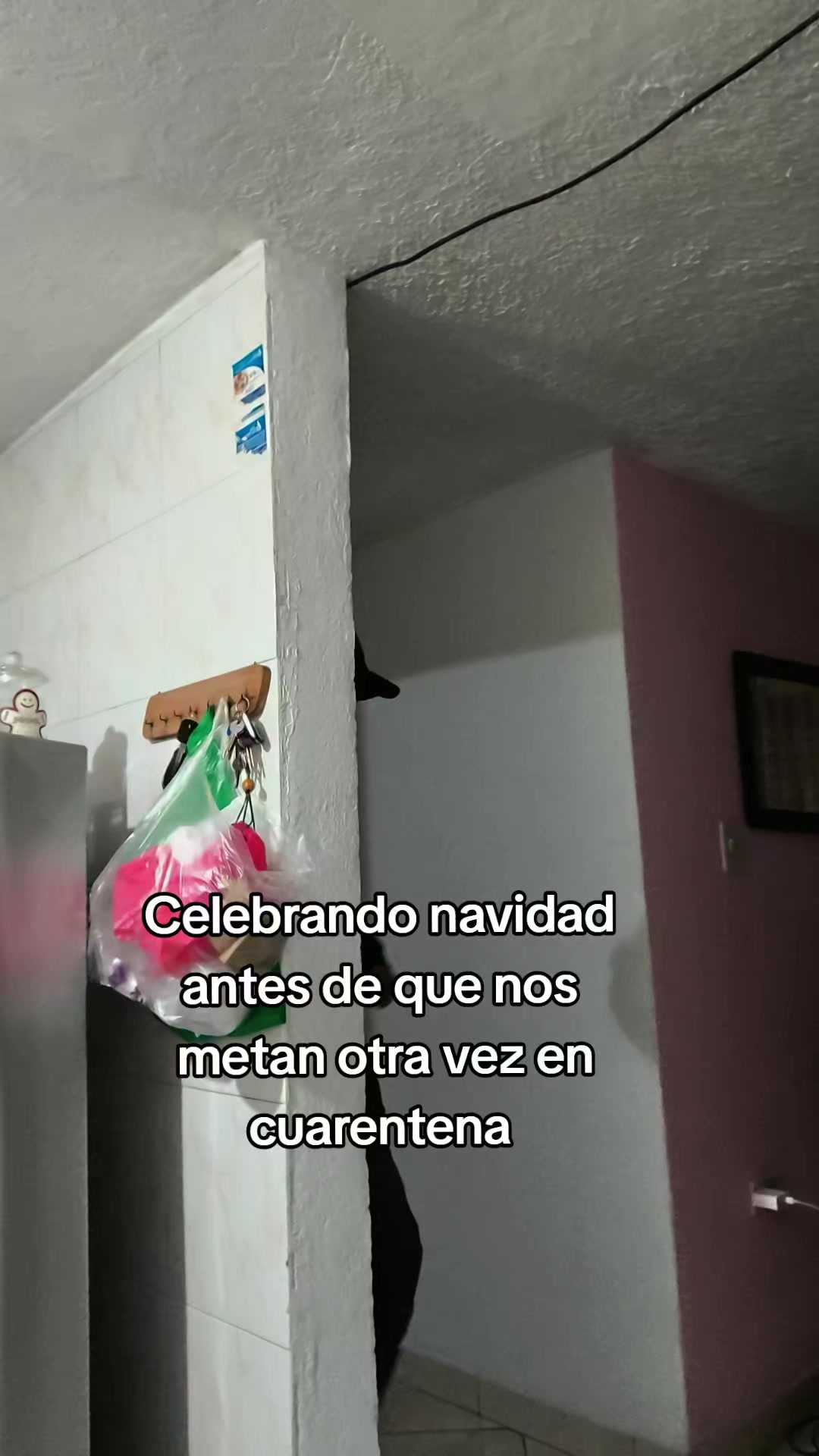 @Divergente
