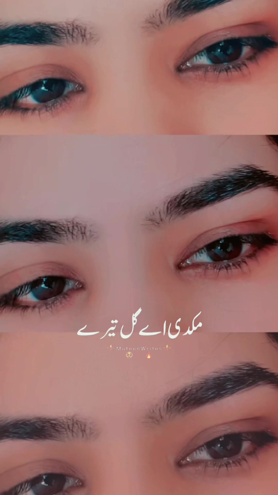 @sanaashraf004