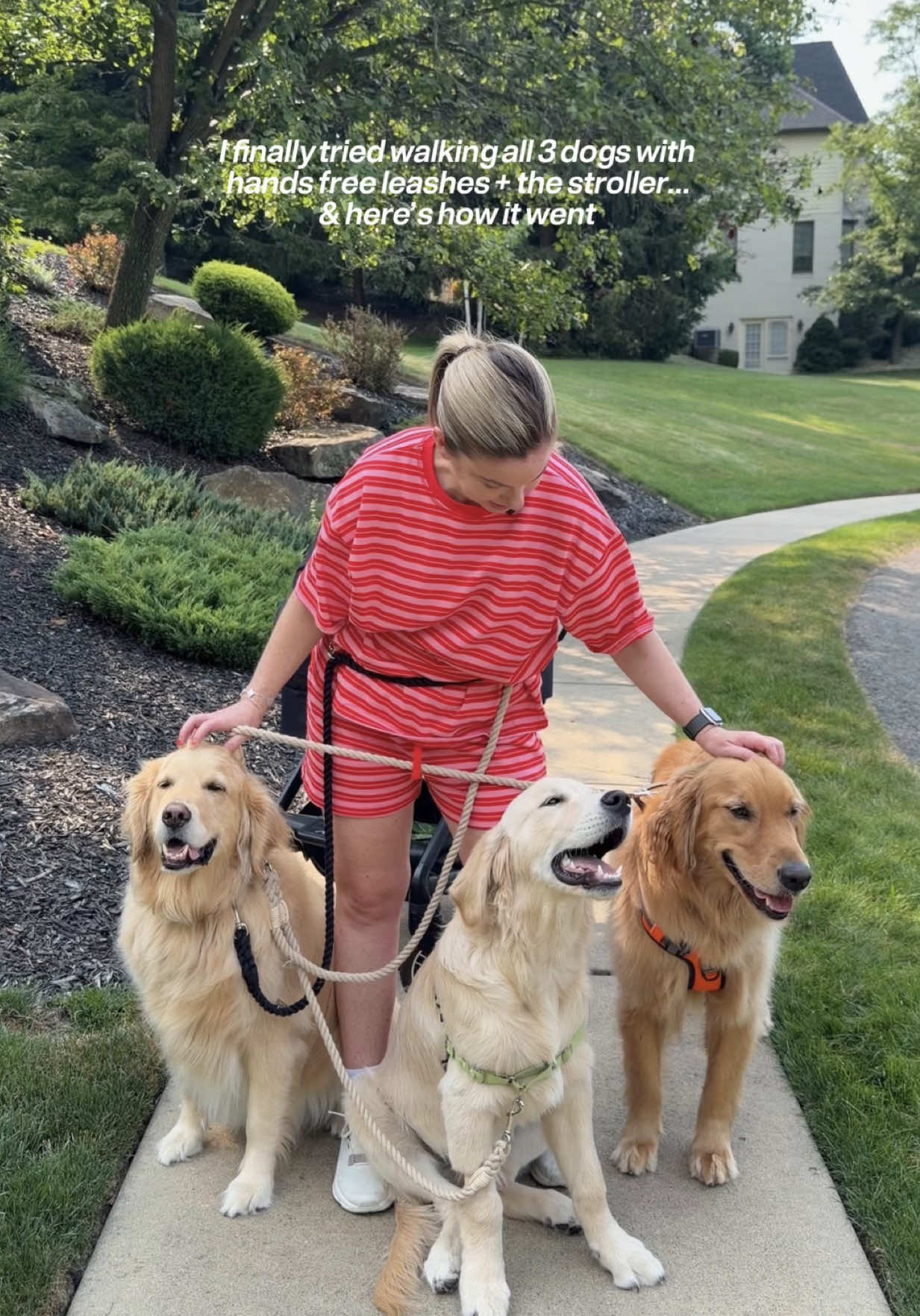 @agoldendogmom