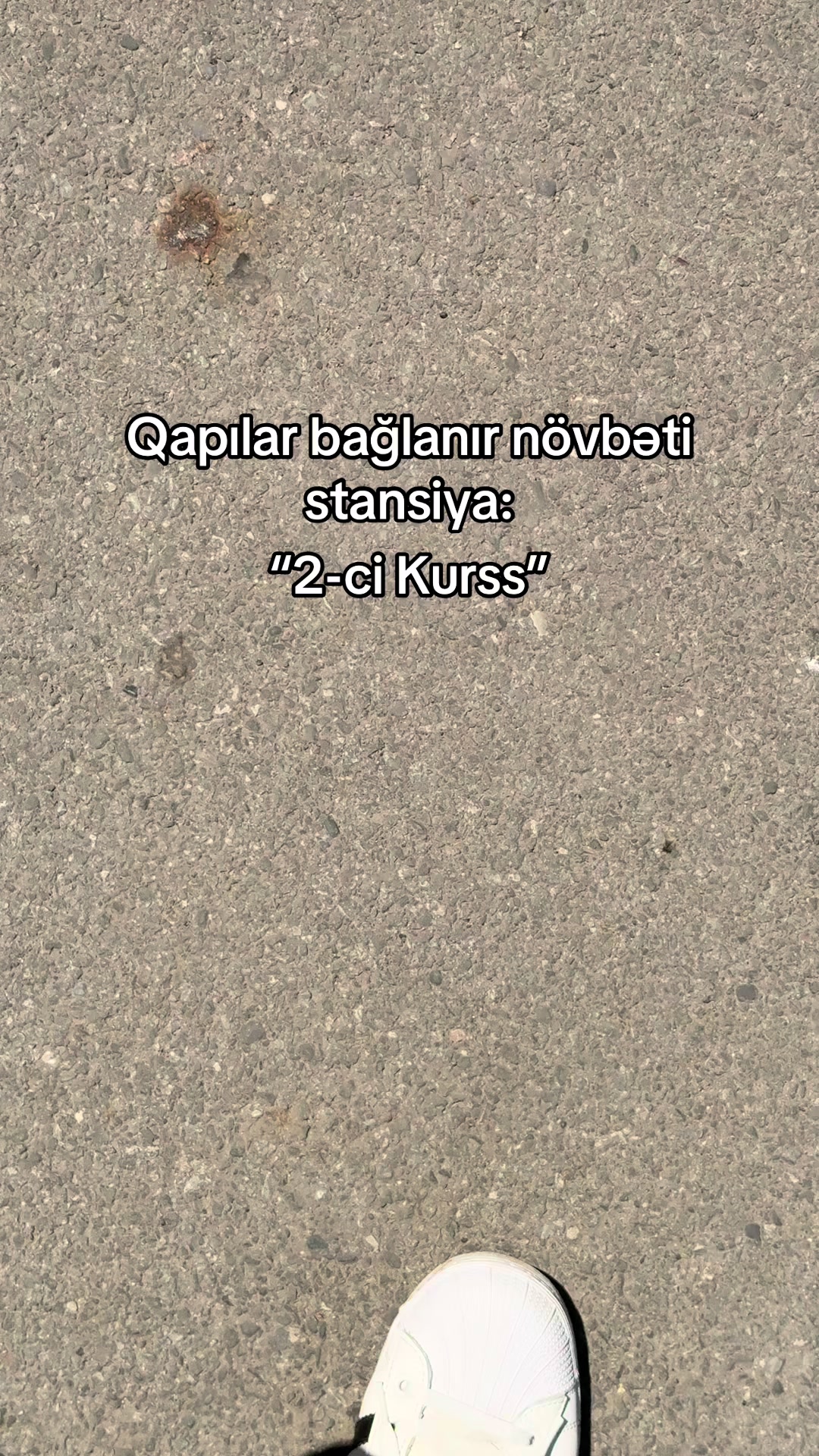 @𝑨 𝑩 𝑫 𝑼 𝑳 𝑳 𝑨 𝒀 𝑬 𝑽