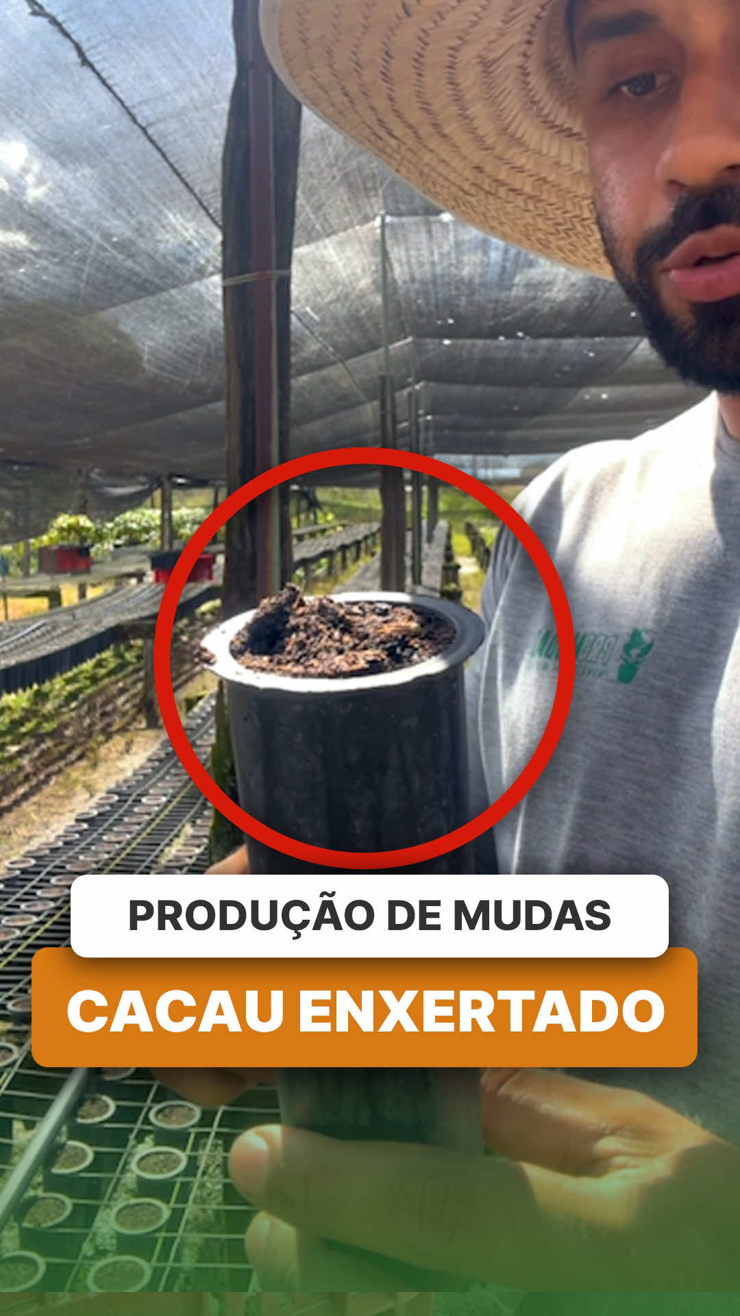 @ViveiroProMudas