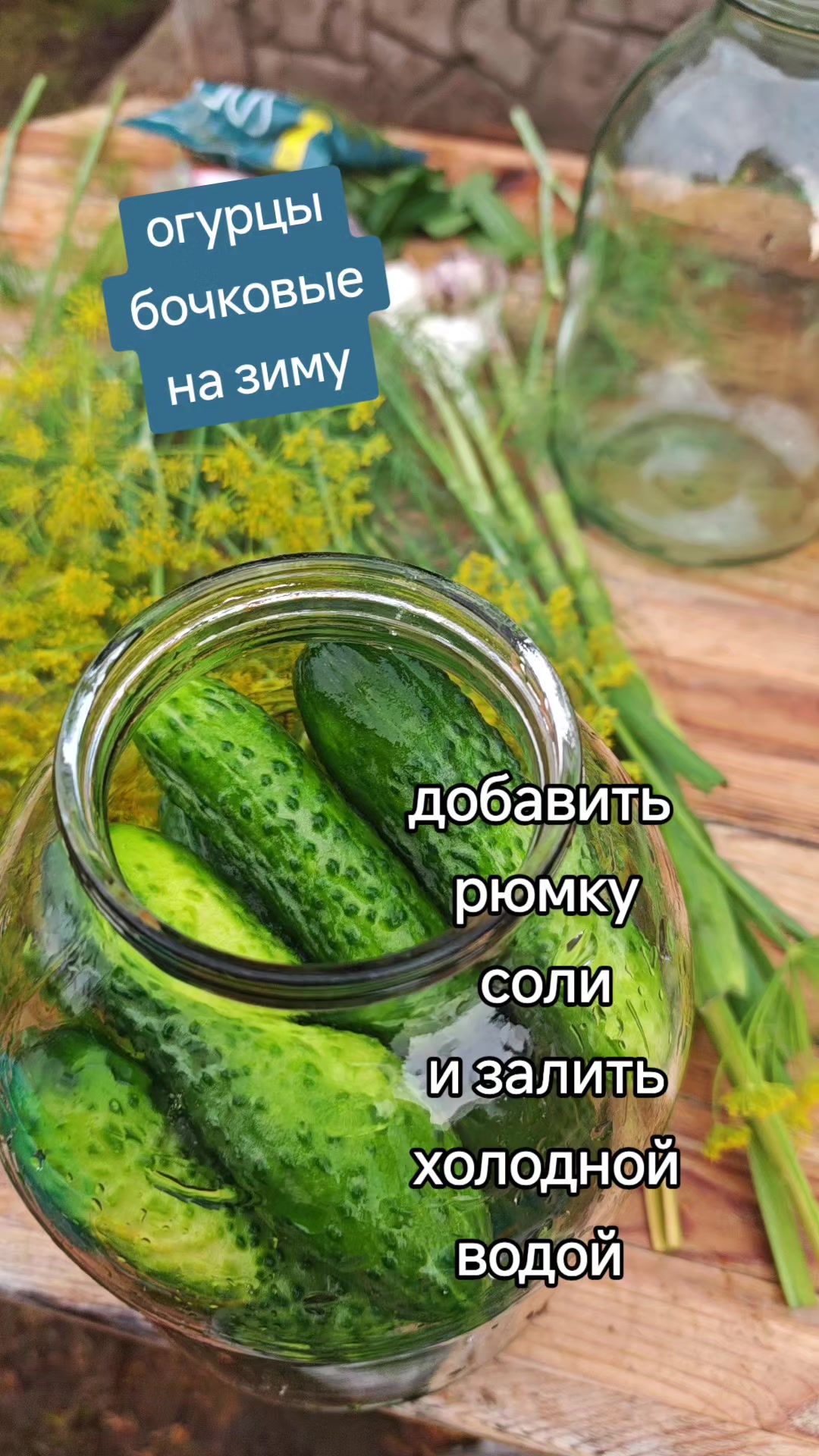 @Картофель Могилёв