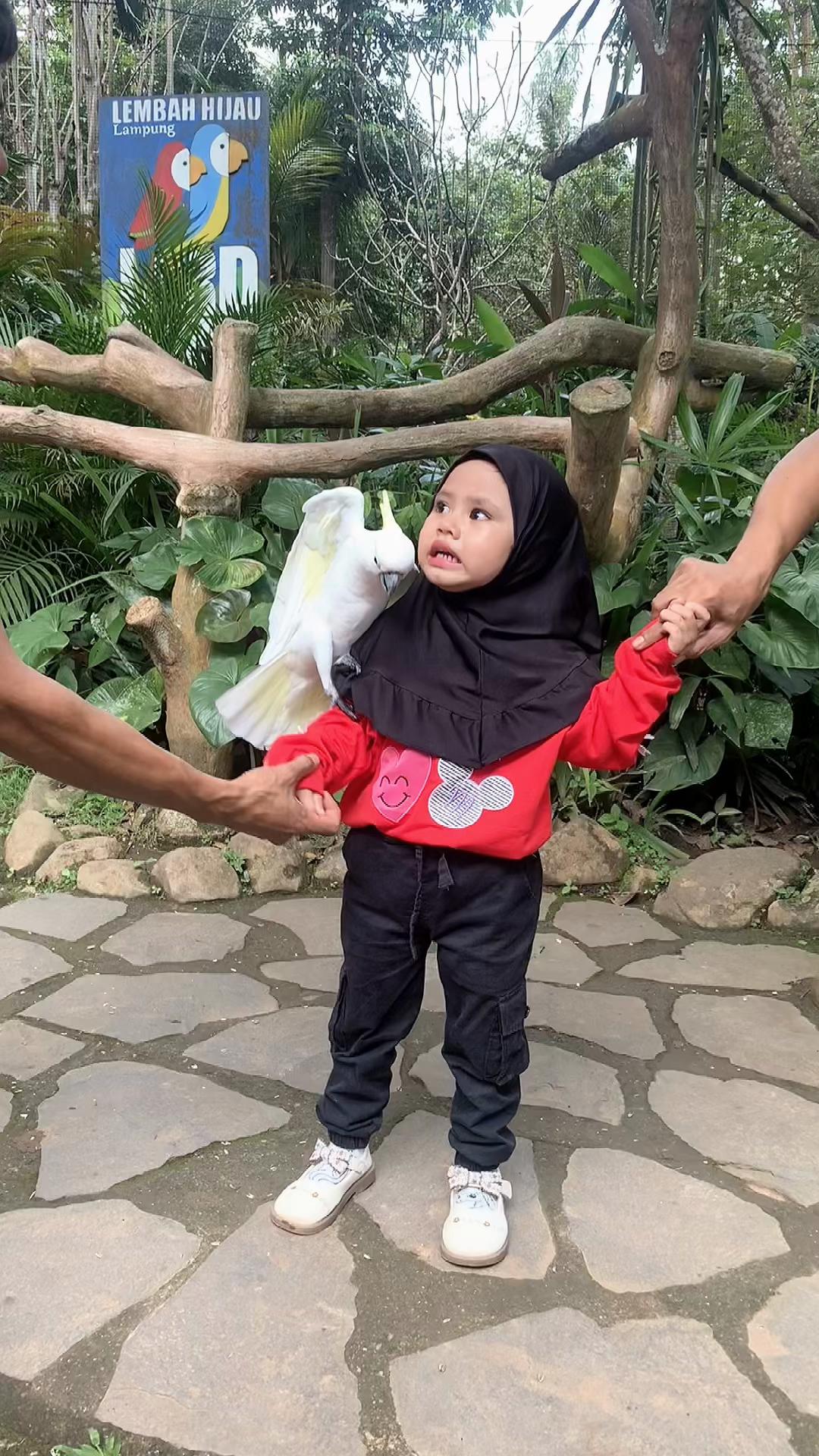 @Reni Raya Mua Lampung