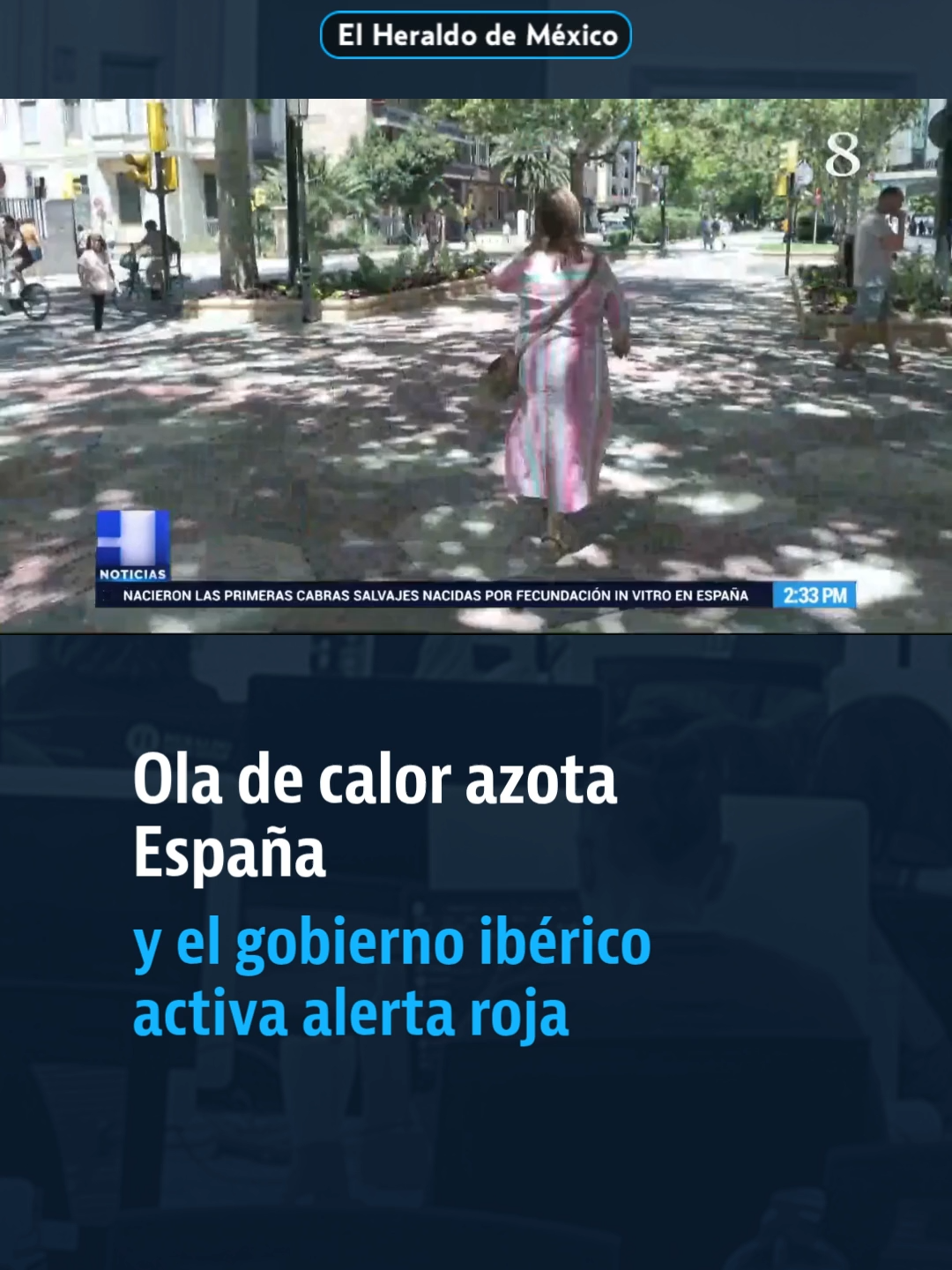 @elheraldodemexico